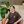 Anthony  Lee icon