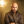 David  Cook icon
