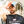 Joshua Eggington icon